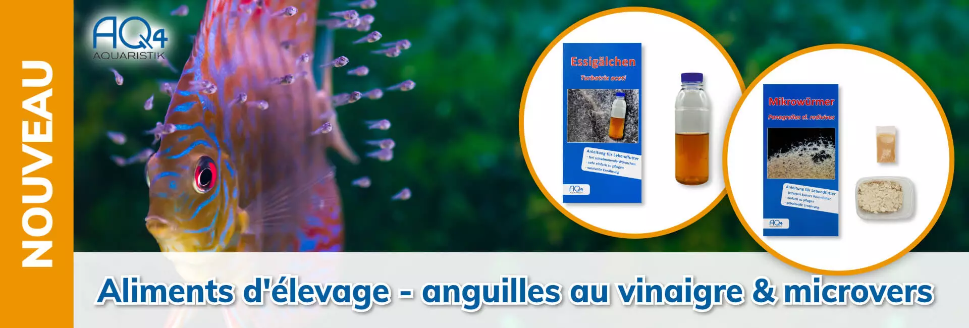 AQ4 Aquaristik anguilles au vinaigre & microvers aliments d'élevage