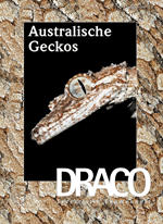 Draco Nr. 29 Australische Gecko