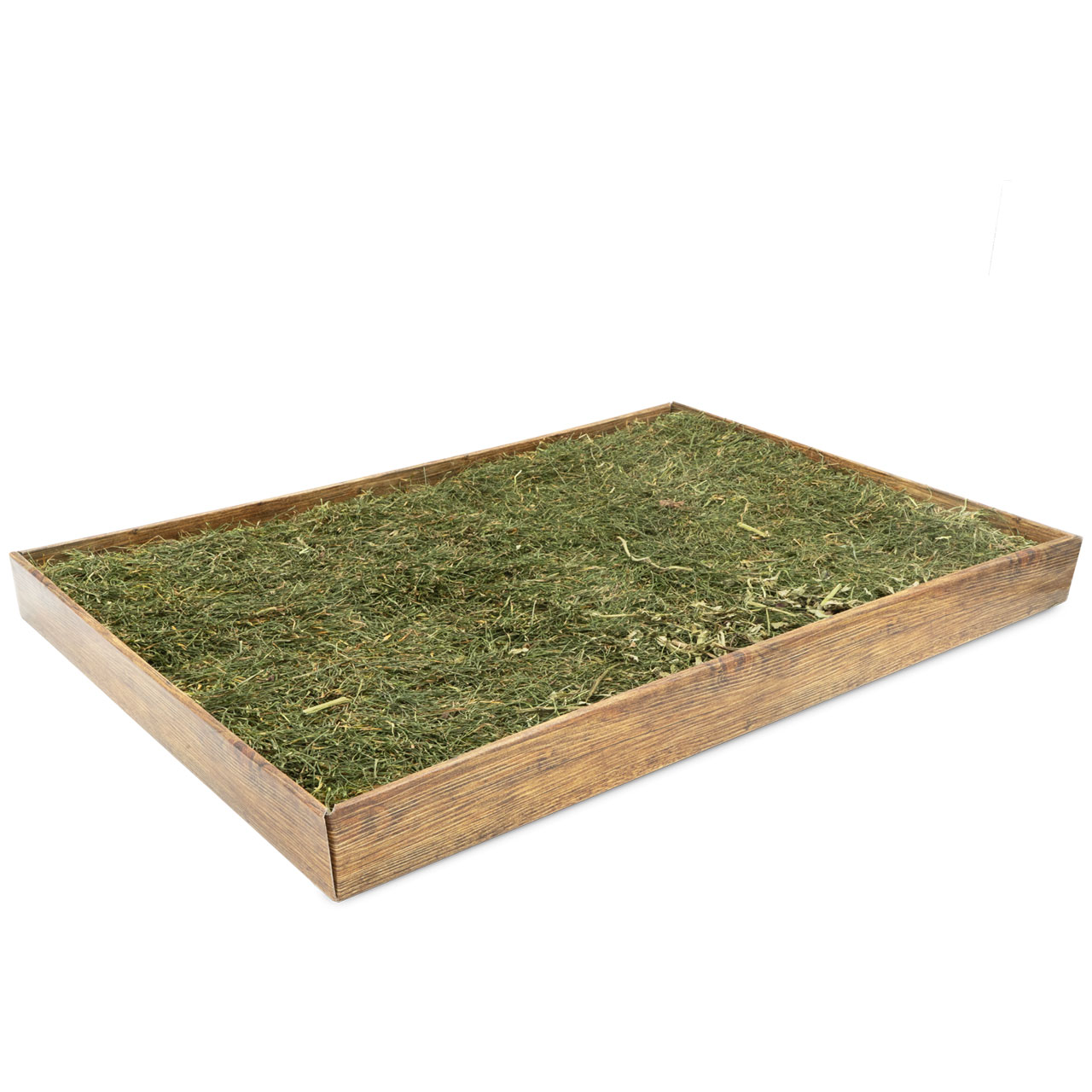 Cassa rettangolare in legno, riempita con erba secca verde chiaro. Venature del legno visibili, fotografata leggermente di sbieco dall'alto, così che la superficie dell'erba sia ben riconoscibile. Sfondo bianco puro.