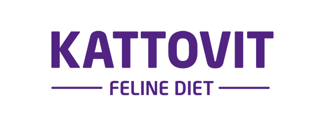 Kattovit