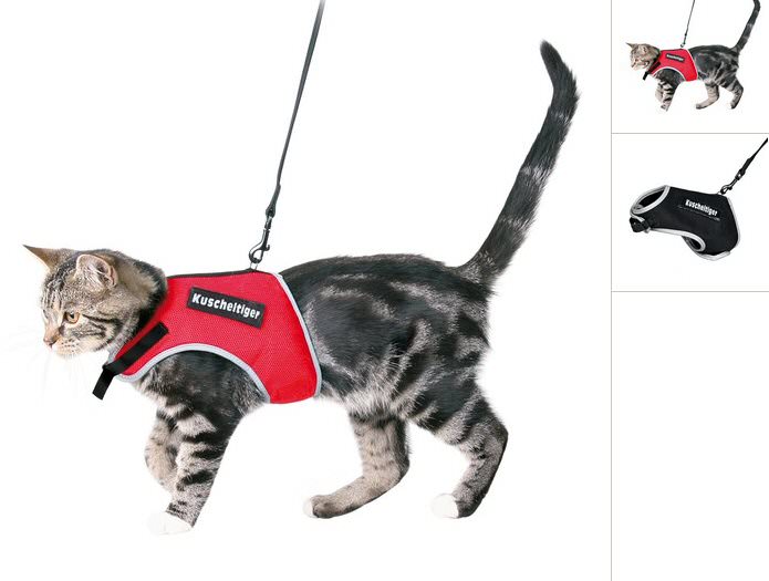 Cat Soft Harness with Leash