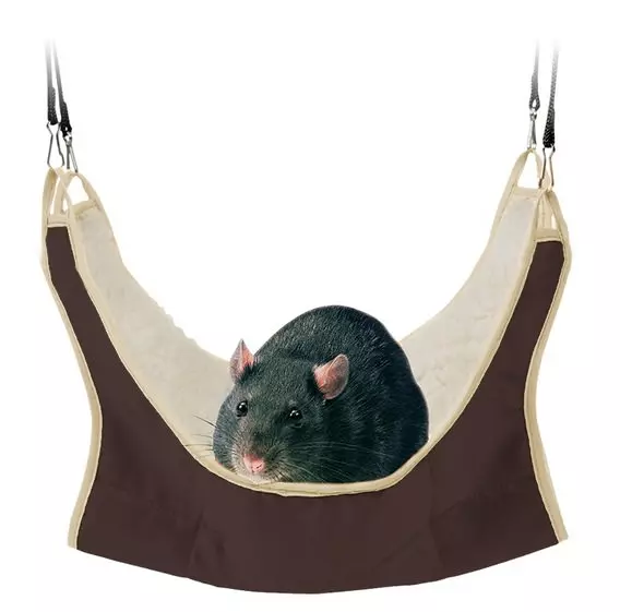 Hängematte