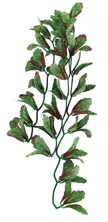 Amazonas Repti Fantasy Plant 028