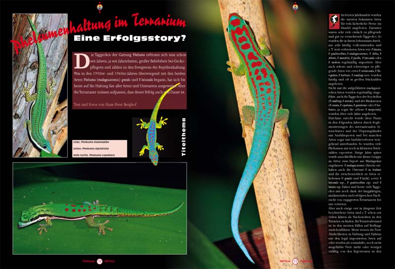 Reptilia 105 - Phelsumen erfolgreich züchten