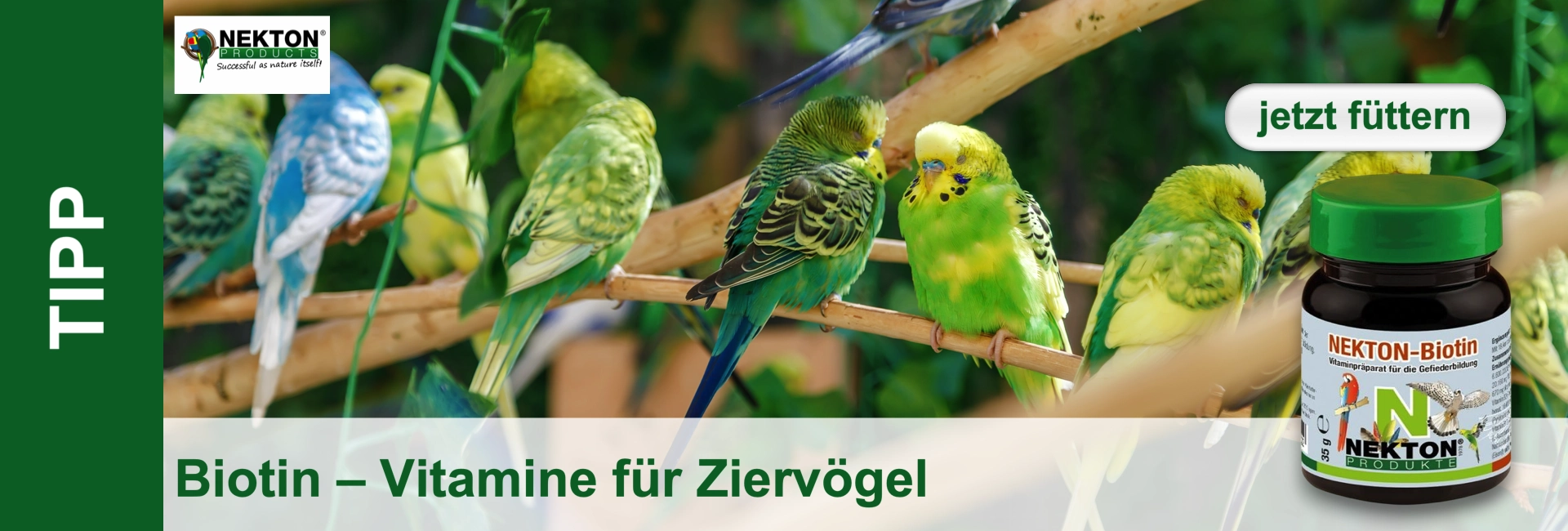 Mehrere Wellensittiche in Grün, Gelb und Blau sitzen auf braunen Ästen vor unscharfem grünen Hintergrund. Im Vordergrund eine Flasche „NEKTON-Biotin Vitaminpräparat“ für Gefieder, dazu Text „Biotin – Vitamine für Zierögel“.
