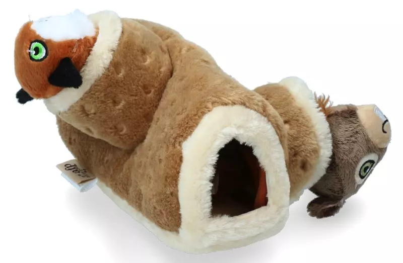 afp Scavare la donnola