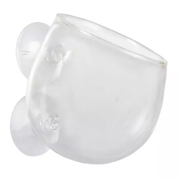 Pot pour plantes au verre