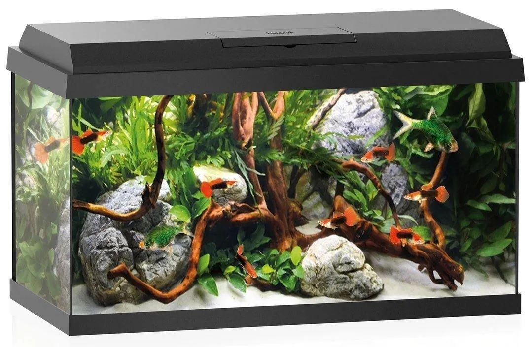 Aquarium Primo 110 LED, 81x36x45cm