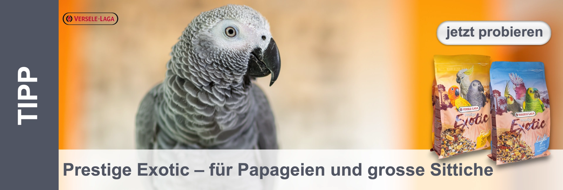 Grey parrot, sideways, with food packs in the background and the text "try now".