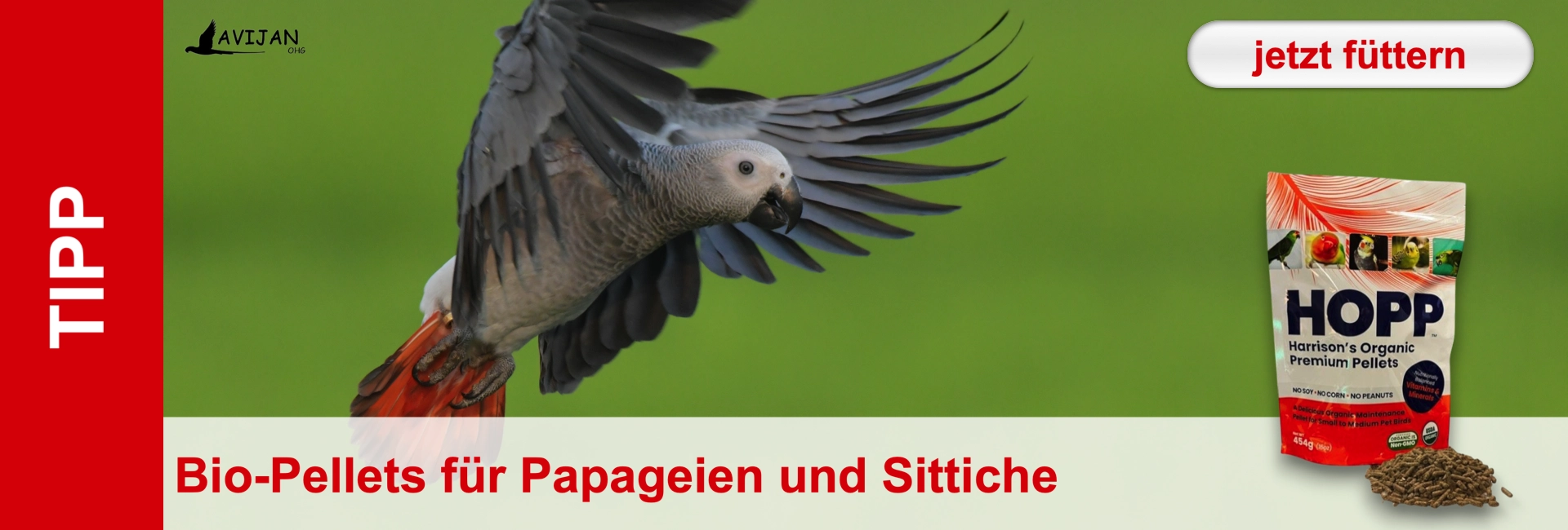 Graupapagei im Flug, daneben Futterpackung "HOPP" und Text: Bio-Pellets für Papageien und Sittiche. Hintergrund Grün.