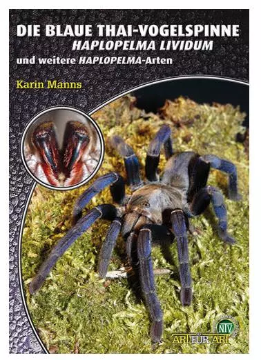 NTV - Haplopelma lividum