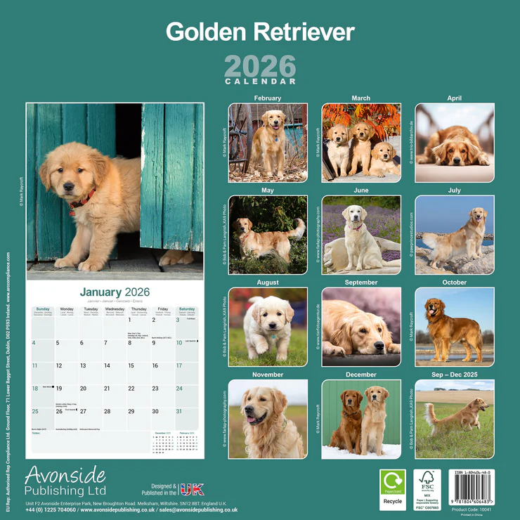 Calendar 2026 Golden Retriever