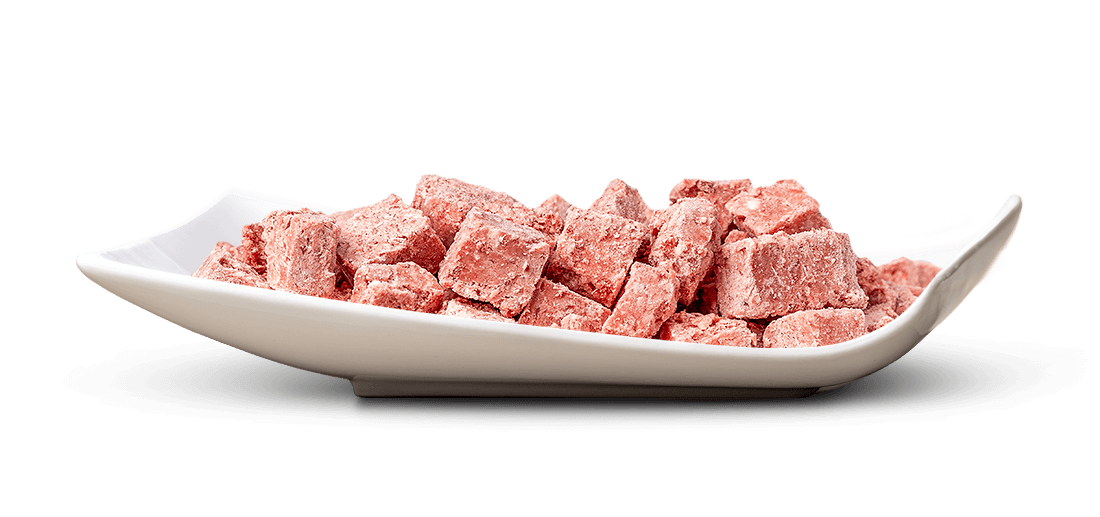 Weiße, schiffsförmige Schale mit vielen unregelmäßigen, rosa-roten Würfeln mit leicht rauer Textur. Möglich sind gefriergetrocknete Fleischwürfel oder ähnliches Futter auf rein weißem Hintergrund.