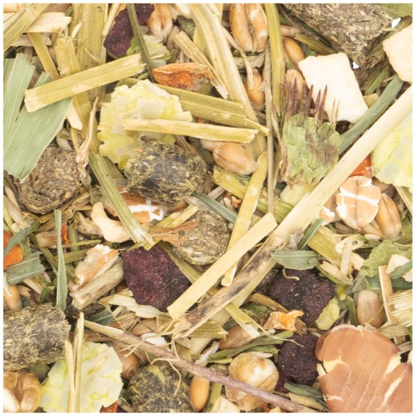 Detaillierte Nahaufnahme einer Mischung aus getrockneten Zutaten für Kleintierfutter: helle und dunkelgrüne Grashalme, gelbliche Heustücke, dunkle Futterpellets, rötlich-braune Beeren/Rübenstücke sowie helle Haferflocken.
