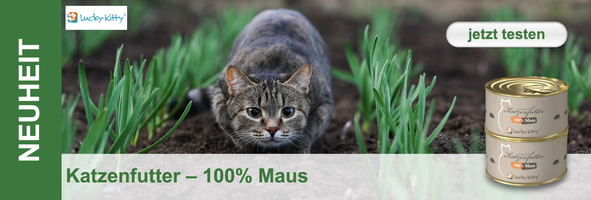 Un gatto soriano si accuccia in giardino tra piante verdi, sullo sfondo due scatole di cibo per gatti.