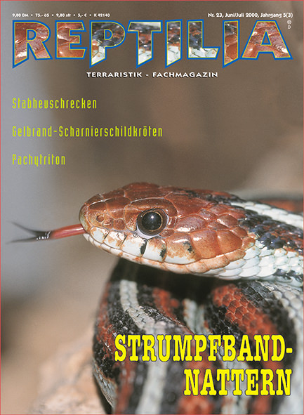 Reptilia 23 - Strumpfbandnattern