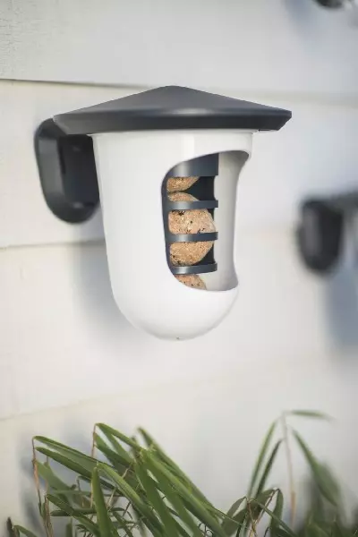 Singing Friend feedR multi - Bird Feeder