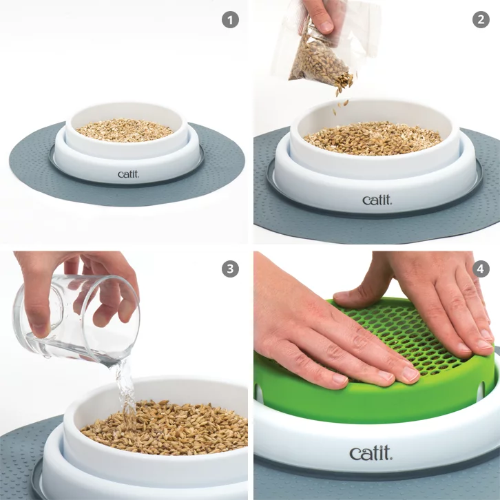 Catit-Senses-2-0-Gras-Planter1 Catit Senses 2.0 Gras Planter