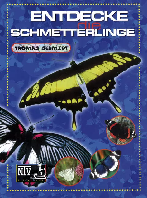 NTV, Entdecke die Schmetterlinge