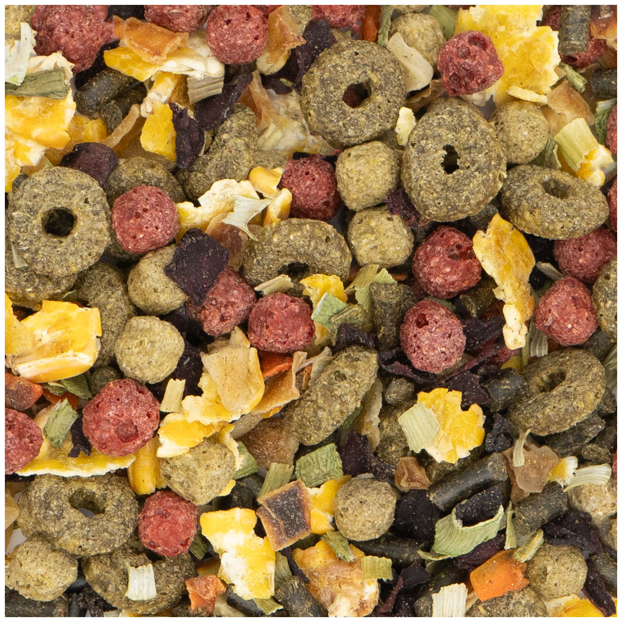Makroaufnahme von Trockenfutter mit bunter Mischung: olivgrüne Pellets (ringförmig und kugelig), kleine rote runde Kroketten sowie unregelmäßige getrocknete Stücke in Gelb, Orange, Grün und dunklem Lila.