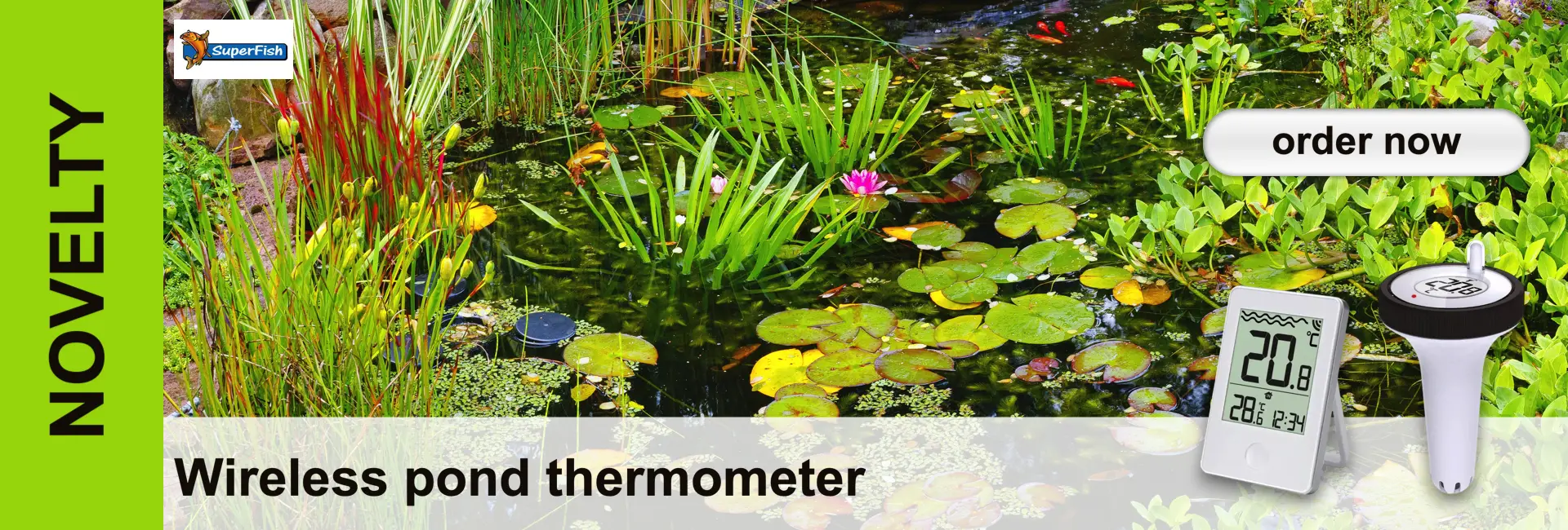 Pond with water lilies, fish and plants on the bank. A wireless pond thermometer in the foreground.