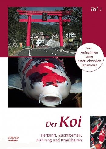 Limox, DVD Der KOI Teil.1 / The KOI Vol.1