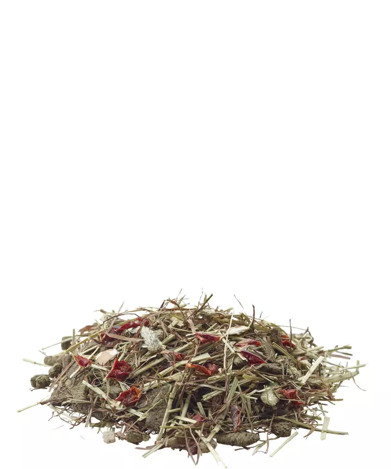 nature-fiber-chinchilla-futtermischung Chinchillafutter Fibre von Versele-Laga