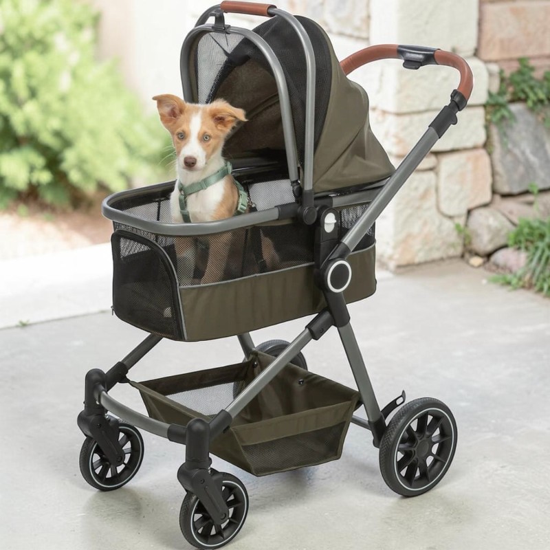 Ein kleiner braun-weißer Hund mit grünem Geschirr sitzt aufrecht in einem modernen, olivegrünen Haustierkinderwagen mit Netzseiten und Verdeck. Er blickt in die Kamera; im Hintergrund unscharfes Grün und eine Steinmauer.