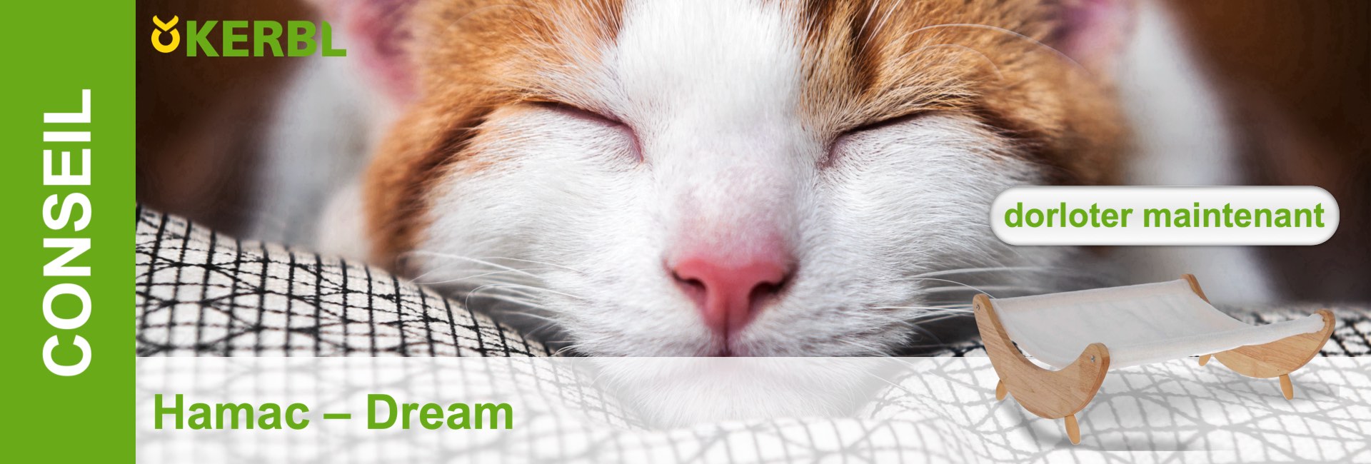Gros plan d'un chat endormi avec un nez rose sur un hamac.