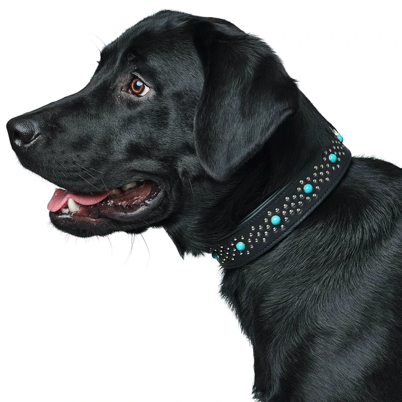 Collier de chien en cuir Madona Collier de chien en cuir Madona