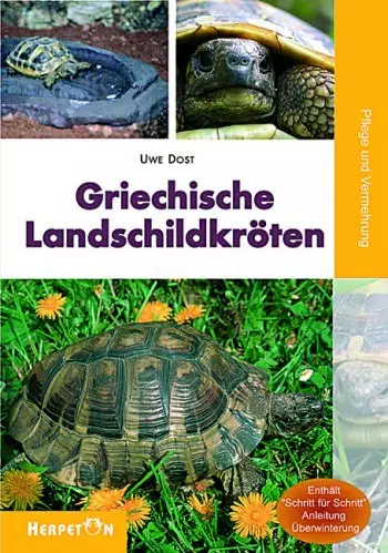 Herpeton, Griechische Landschildkröten