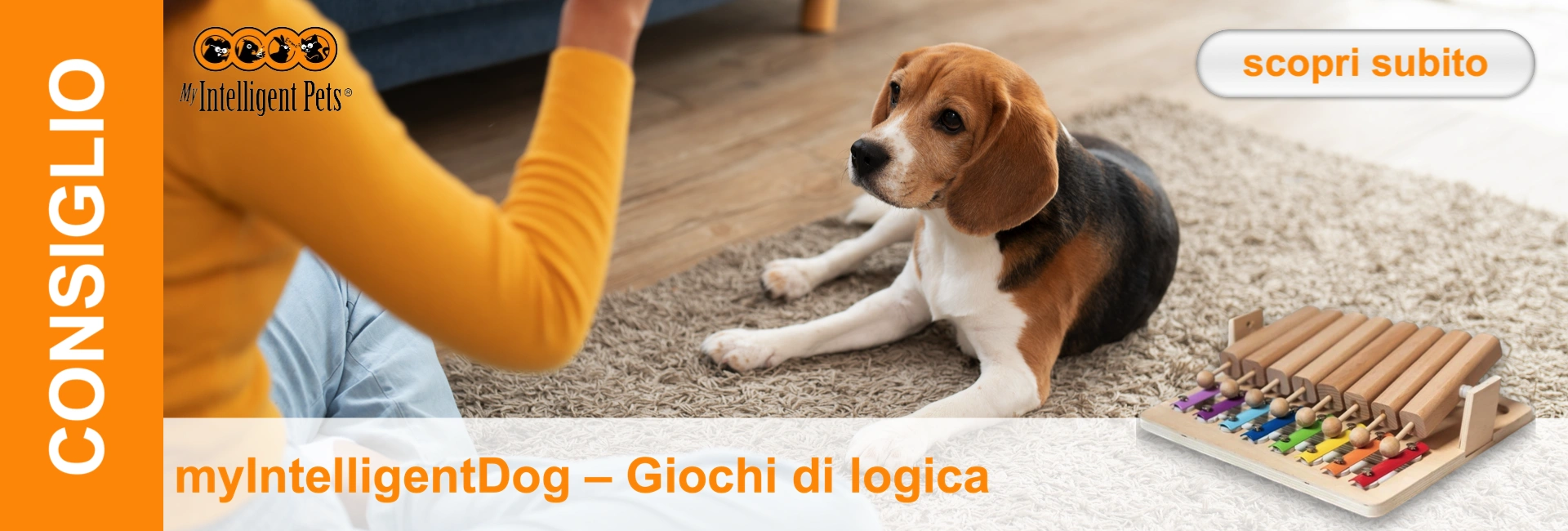 Un beagle è sdraiato su un tappeto con accanto un giocattolo di legno. Sullo sfondo c'è una persona con un top giallo.