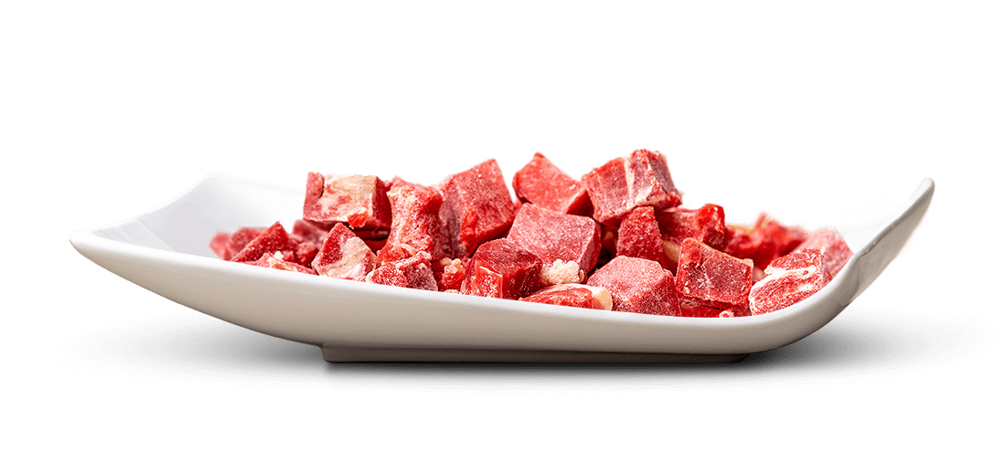 Dans un plat blanc, peu profond et incurvé, se trouvent de petits cubes de viande congelés d’un rouge foncé. Leurs formes irrégulières et leur surface givrée indiquent leur congélation. Certains ont des traces de graisse blanchâtre.