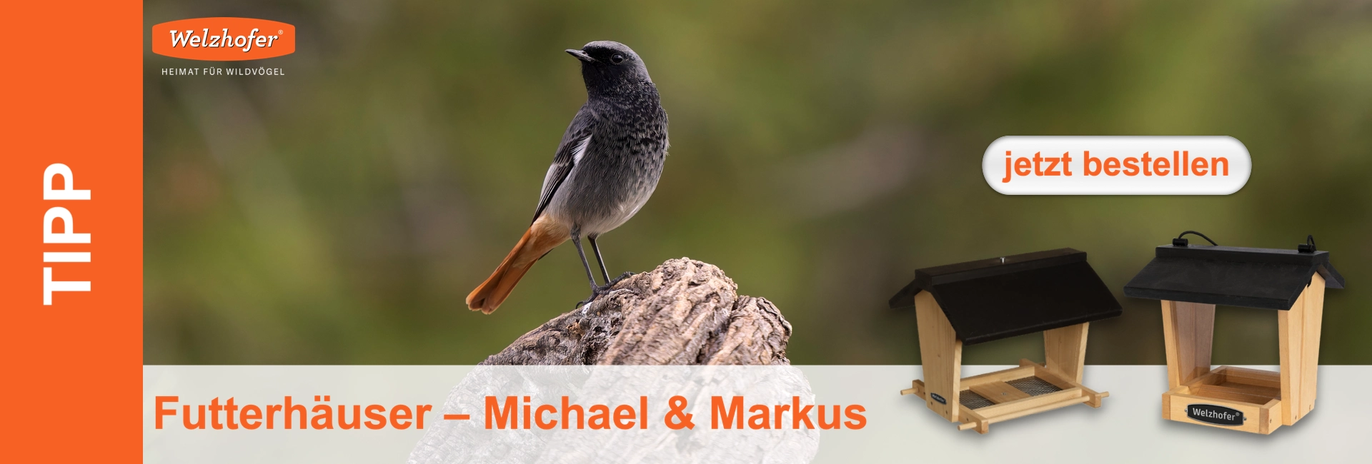 Schwarzkehlchen auf Ast. Rechts zwei hölzerne Vogelfutterhäuser. Grüner, unscharfer Hintergrund. Text: „TIPP“, „jetzt bestellen“, „Futterhäuser – Michael & Markus“.
