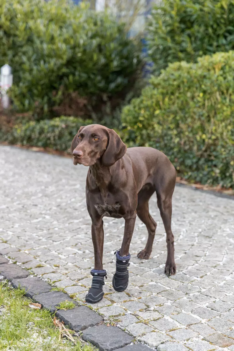 Paw Protection Walker Active long Black Paw Protection Walker Active long Black