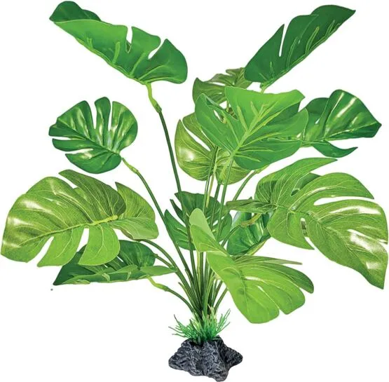 repto-deco-plant-monstera repto-deco-plant-monstera