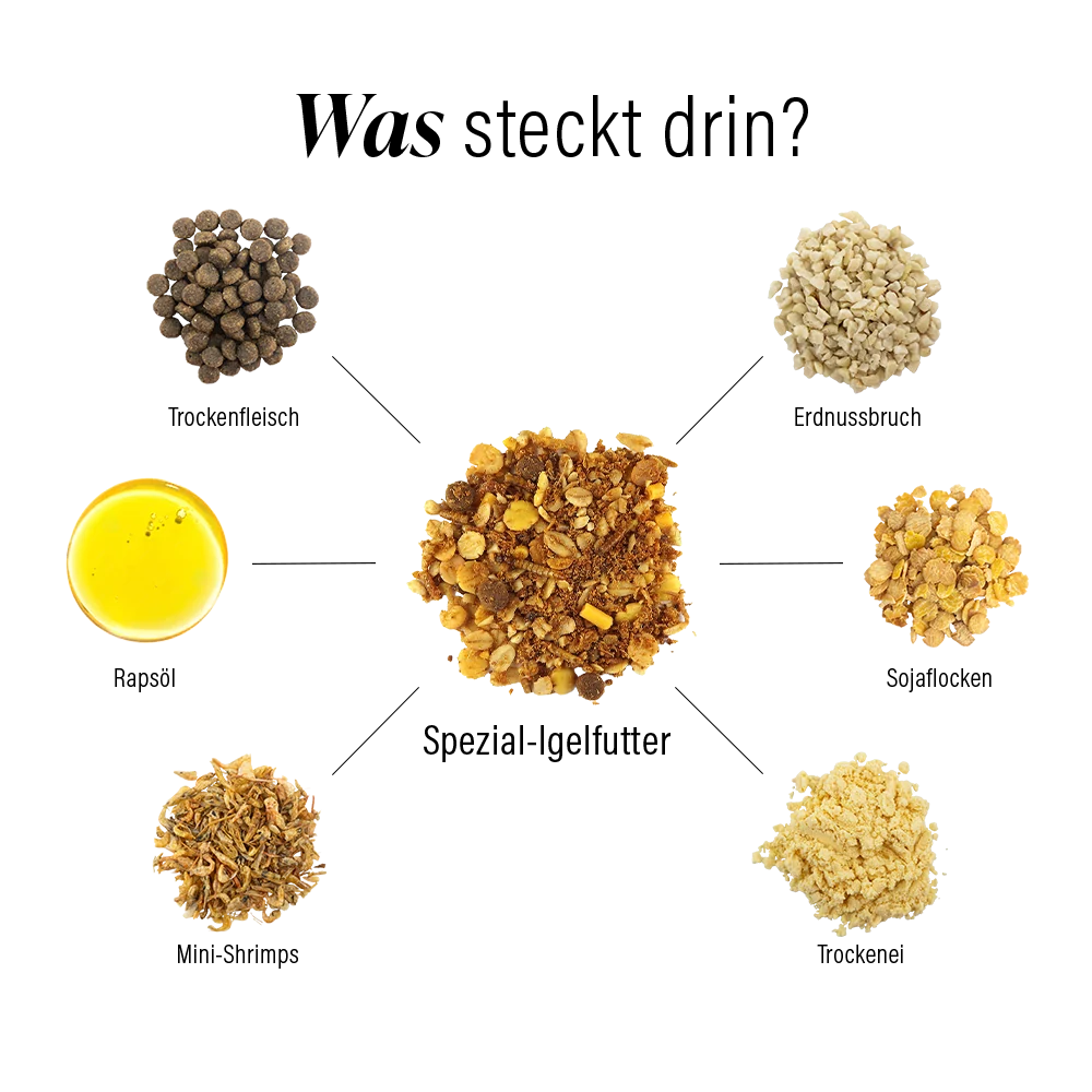 Al centro, il mangime speciale per ricci "Claus", circondato dai sei ingredienti: pellet di farina di carne, olio, crostacei essiccati, noci, fiocchi di frumento e uova in polvere. Le frecce ne mostrano la composizione.