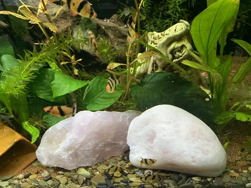 Quartz roses