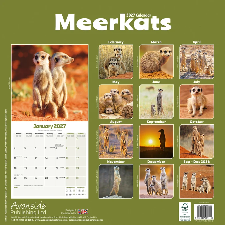Kalender 2027 Erdmännchen - Meerkats - Mangusten