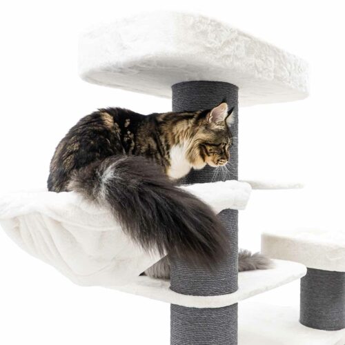 Eine getigerte Katze mit braunem, schwarzem und weißem Fell sitzt auf der oberen, flauschigen, weißen Plattform eines modernen Kratzbaums. Ihr buschiger Schwanz hängt seitlich herab. Sie blickt aufmerksam nach rechts.