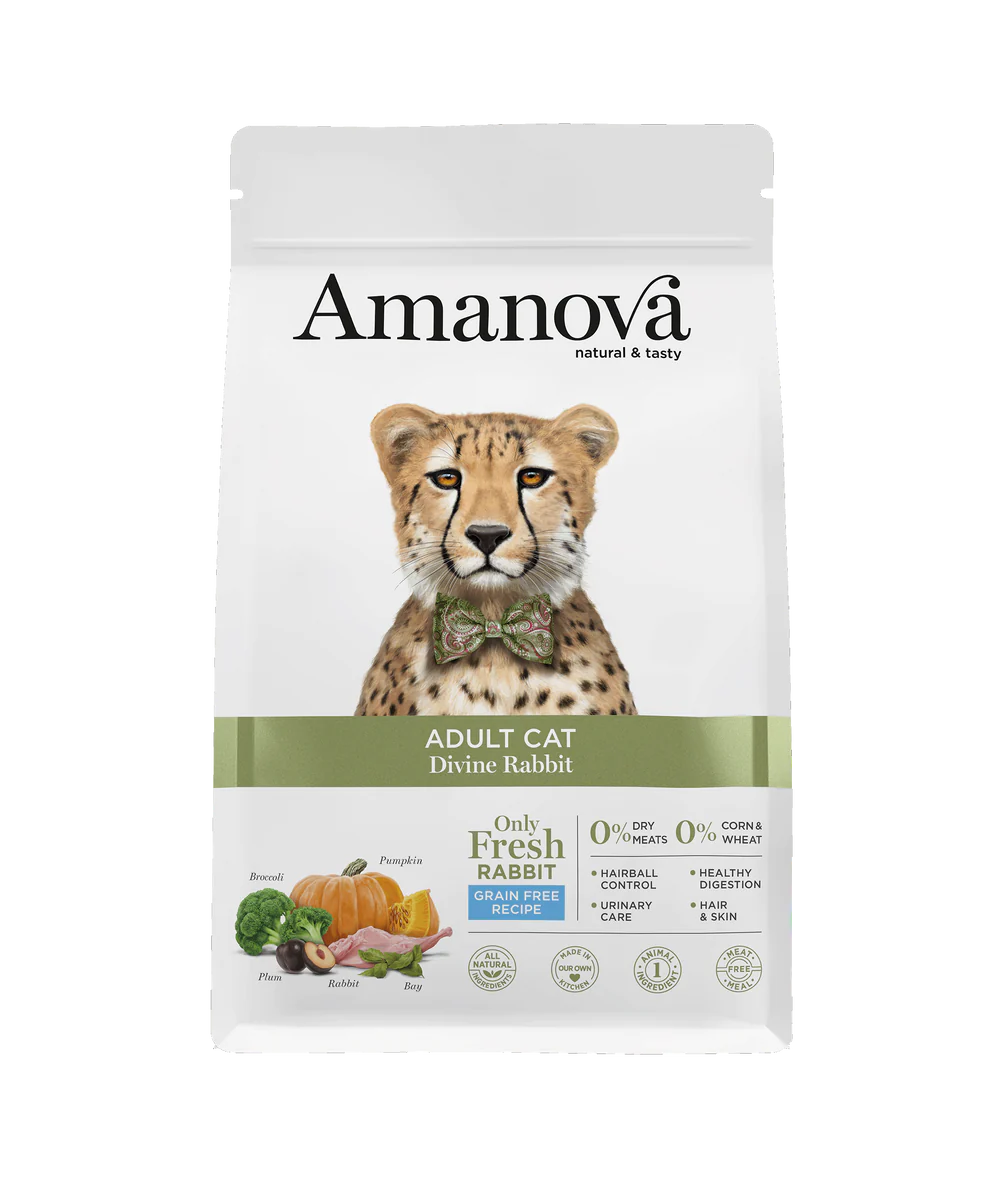 amanova-adultrabbit-1