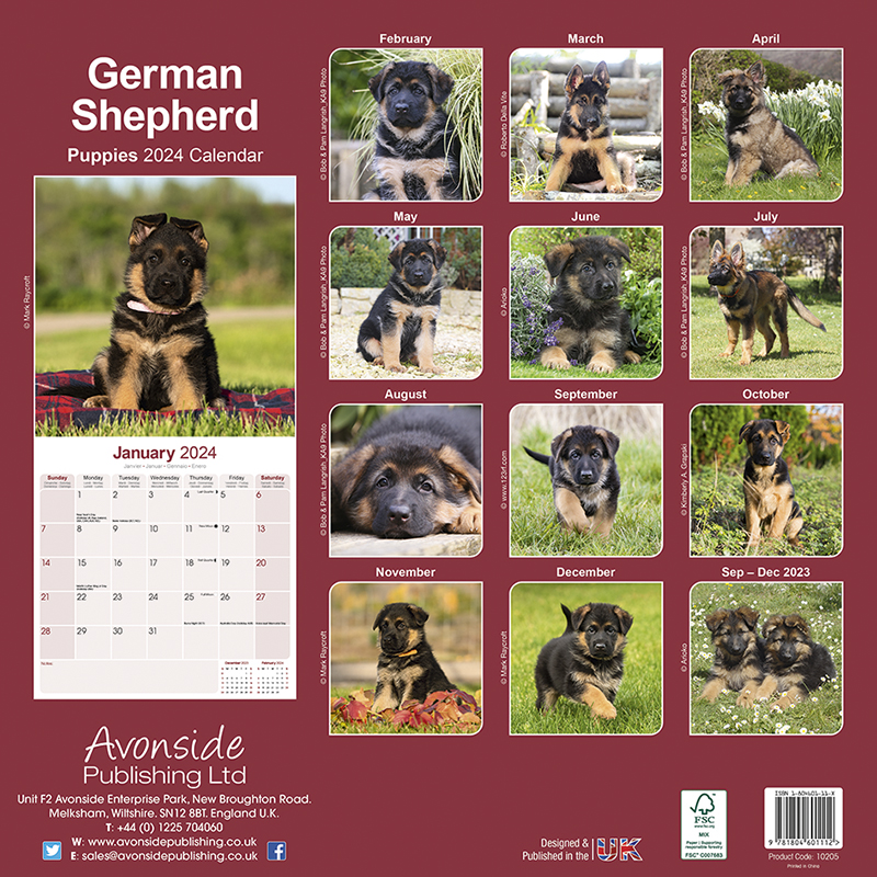 Kalender 2024 Deutscher Schäferhund - Welpe