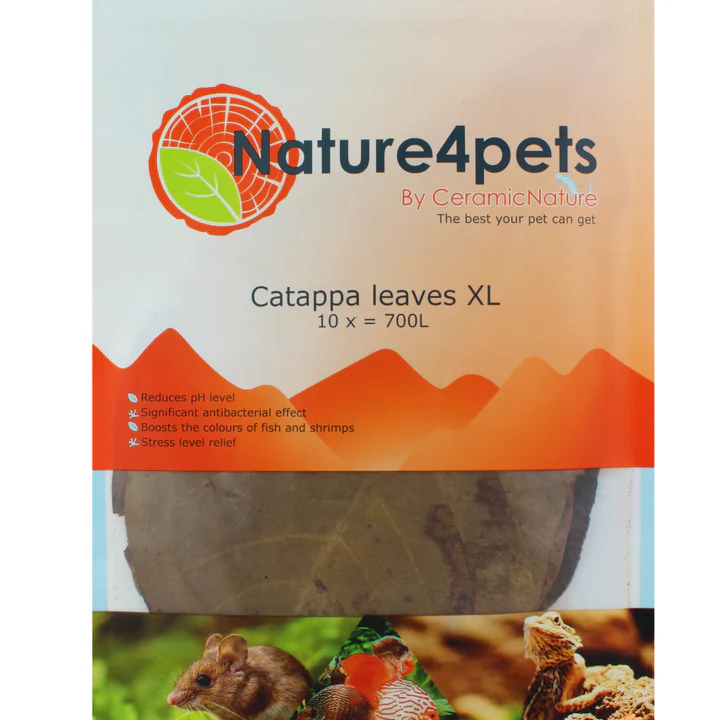 Nature4pets Catappa-Blätter XL. Senken pH-Wert, wirken antibakteriell, intensivieren Farben von Fischen und Garnelen, mindern Stress. Hinter transparenter Folie sind getrocknete braune Blätter sichtbar. Unten Symbole: Maus, Diskus, Eidechse.