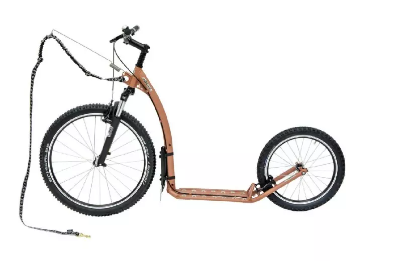 mushfun-beige Dogscooter kupfer