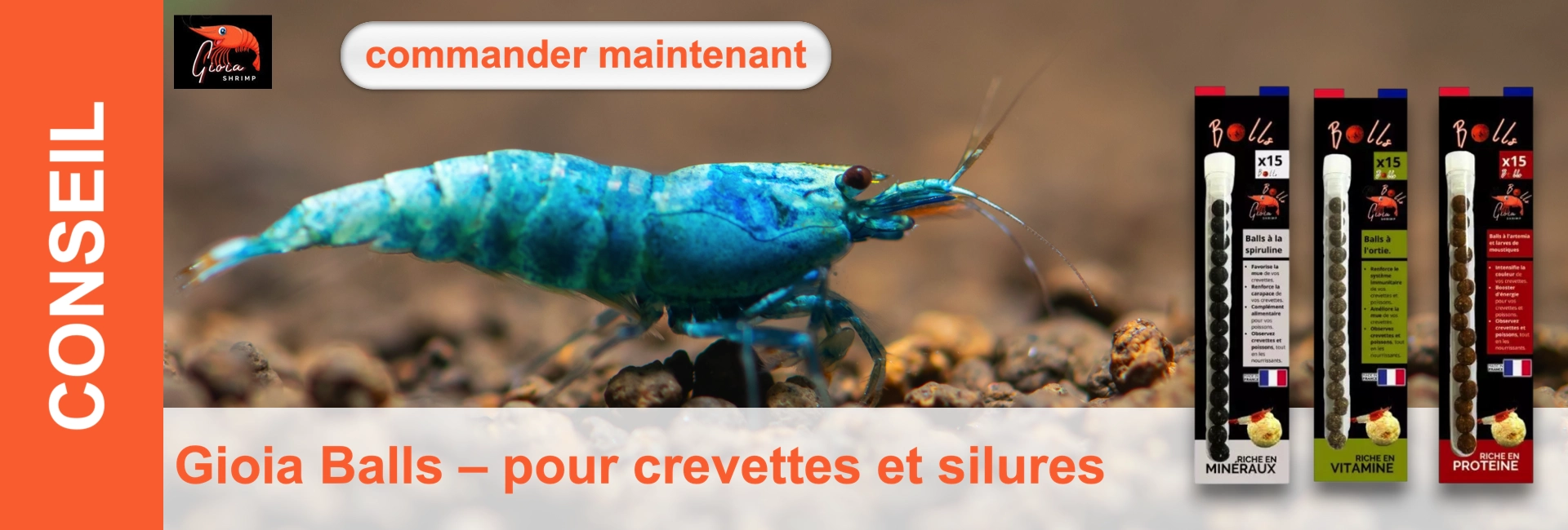 Gros plan d'une crevette de couleur bleue sur un fond sombre, à côté de trois emballages de produits alimentaires.