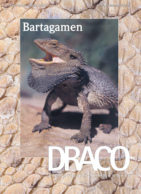 Draco 22 - Bartagamen
