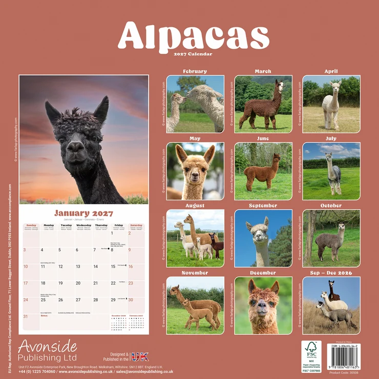 Kalender 2027 Alpacas