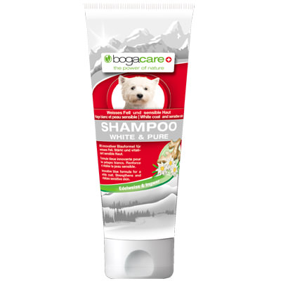 Bogacare Shampoo White + Pure 250 ml