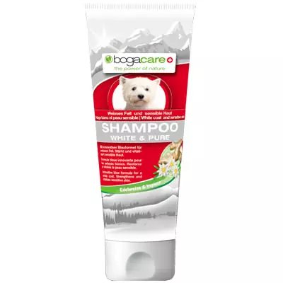 Bogacare Shampoo White + Pure 250 ml