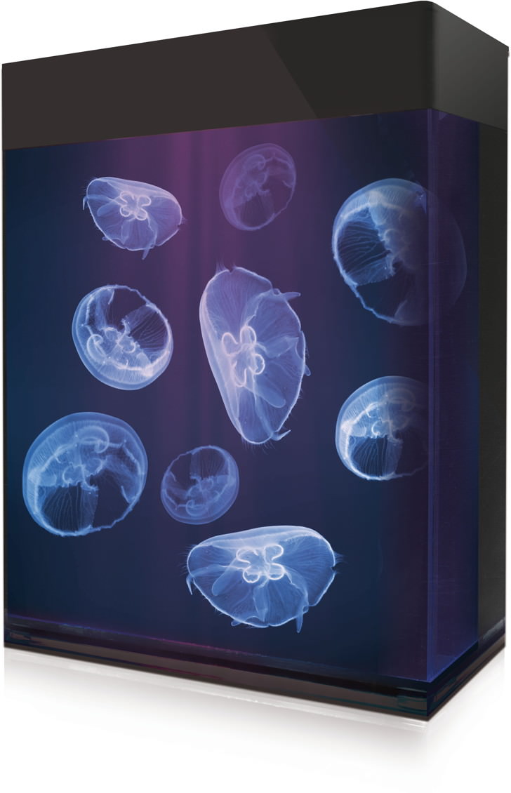 Amazonas Jellyfish Aquarium Set